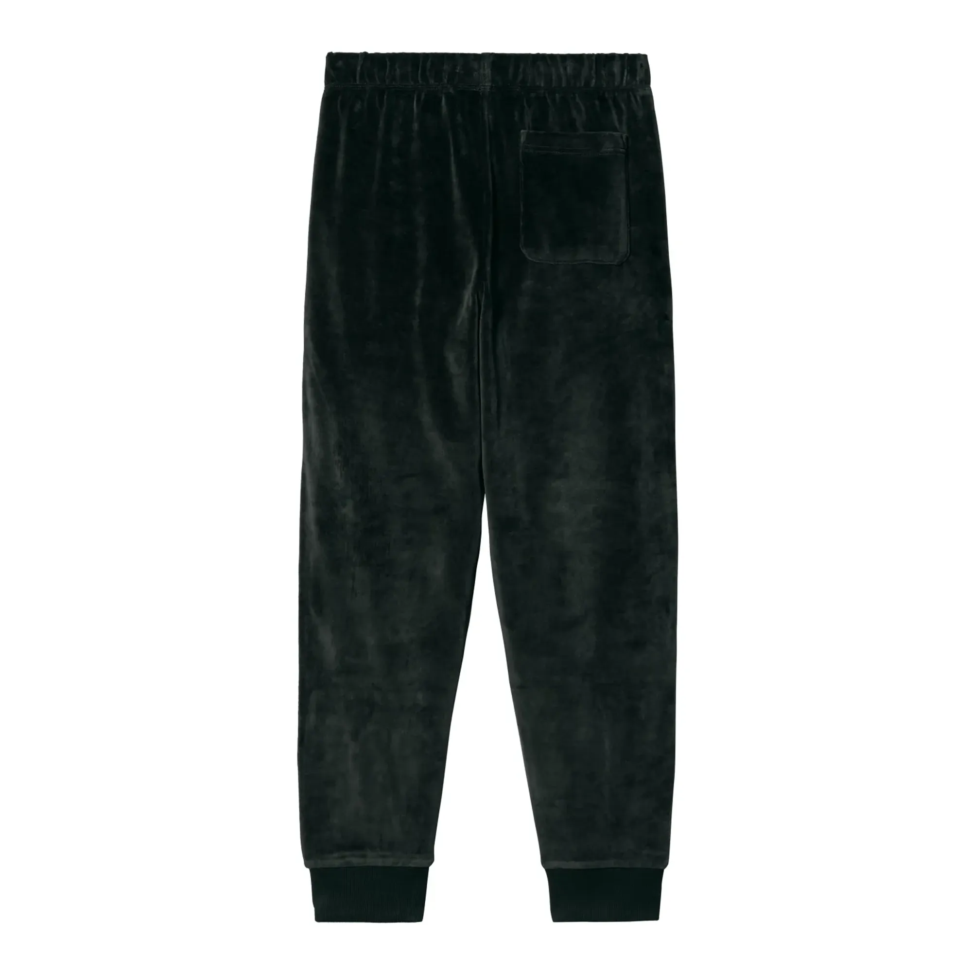 Carhartt United Script Jogging Pants Dark Cedar